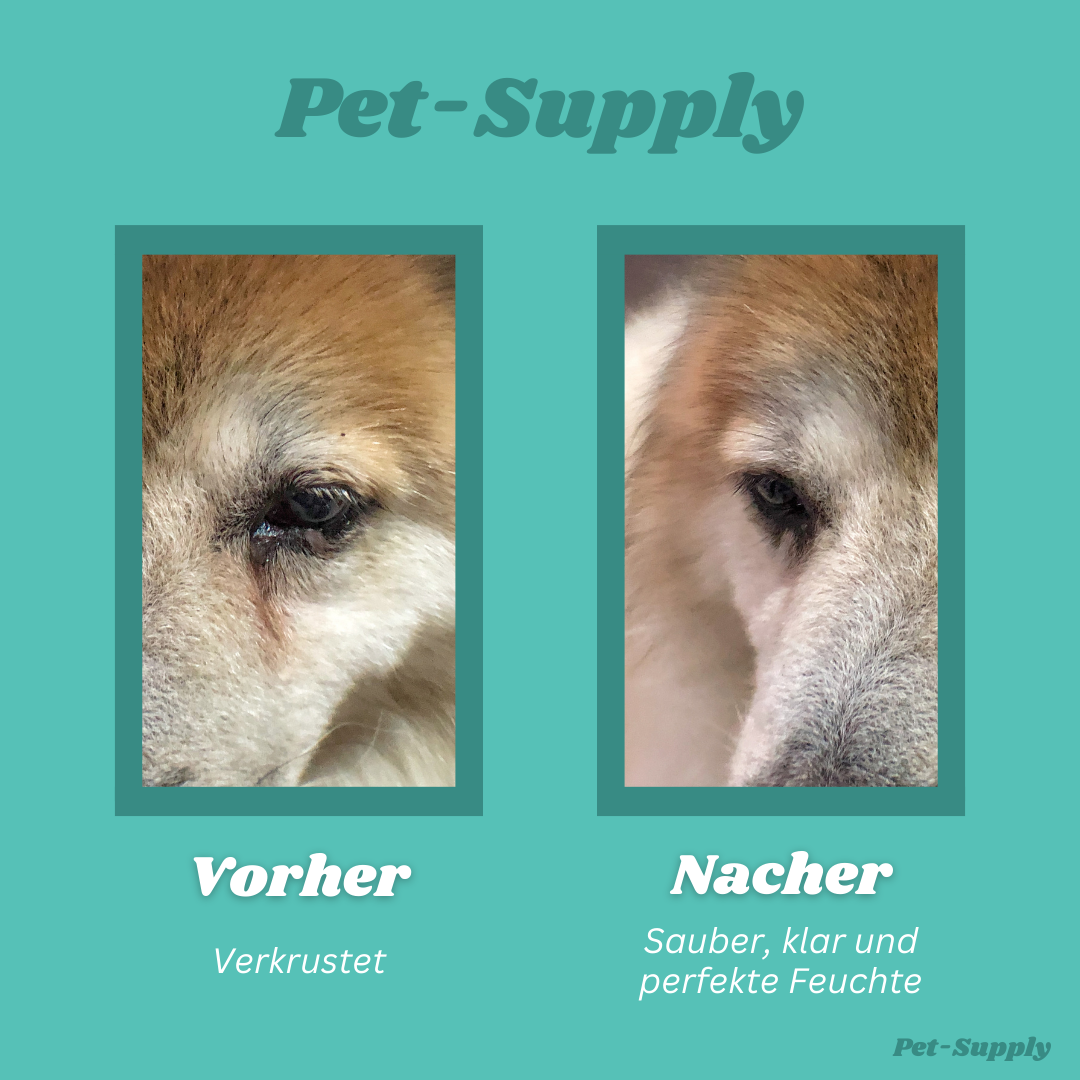 Pet Supply - Augenwisch Pads