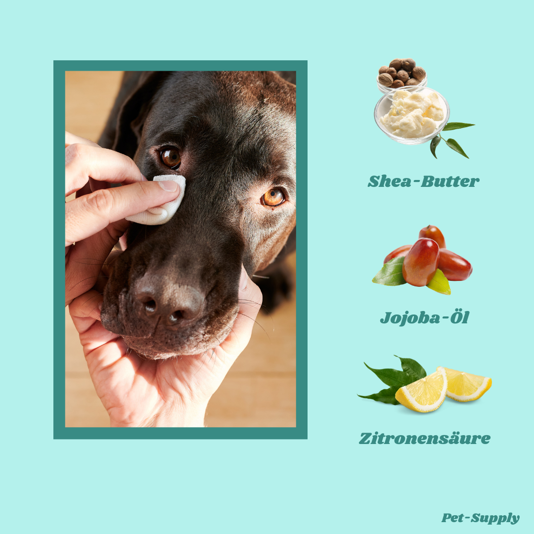 Pet Supply - Augenwisch Pads